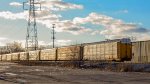 Autoracks train in the yard